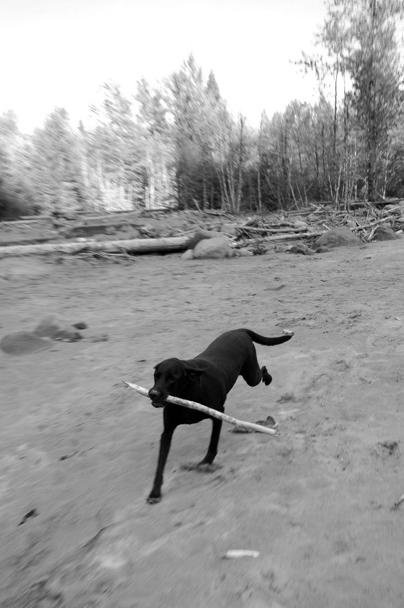 Oliver on the Muddy Fork 