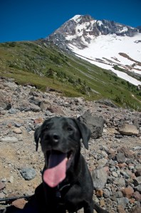 Oliver at McNeil Point.